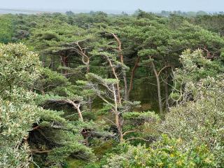 5 person holiday home in Rømø - 3