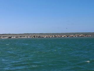 4 star holiday home in Thyborøn - 6