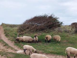 6 person holiday home in Hjørring - 3