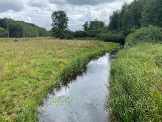 4 person holiday home in Grindsted-By Traum - 6