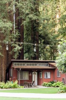 Fern River Resort - 7