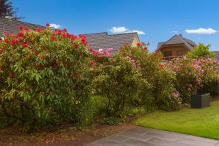 Scandi Garden Retreat - Modernes Apartment & Garten - 7