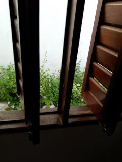 Casa 3 Quartos Barra Nova B - 3