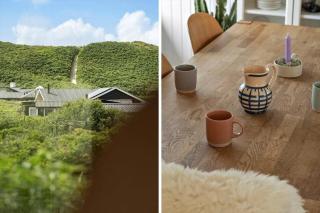 4447-Hvide-Sande-Granvej-7 - 3