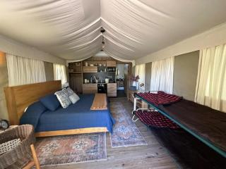 Premium Lakefront Cabin 4 The Cardinal - Bastrop - 9