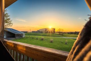 NEW Distiller's Dream - Bourbon Trail Country Fun! - 5