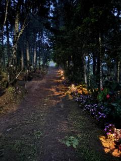 Mountain Retreat Refugio de Aves - Turrialba - 5