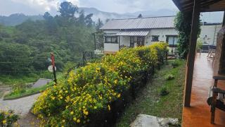 La Casita de Charo 1, disfruta de tiempo memorable en la montaña - 6