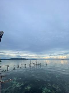 The Driftwood House -  - 4