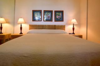 Napili Point A8 · NP A8 OceanFront 1BD Condo w Ocean Views AC Po - 6