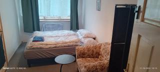 accommodation in the center of Brno - 3