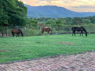 Hacienda Palermo - 3