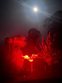 Lovely rural 3 bedroom home near the Kahurangi NP - 4