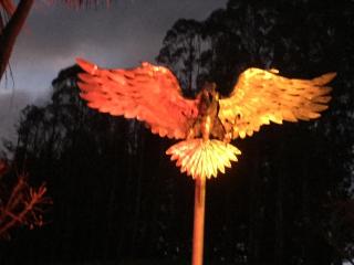 Lovely rural 3 bedroom home near the Kahurangi NP - 8