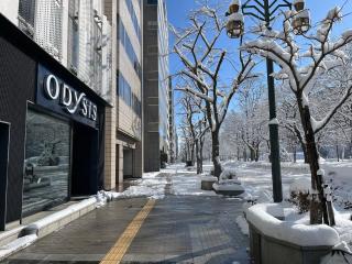 Odysis Sapporo Odori Koen Hotel - Sapporo - 0
