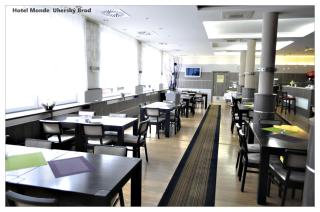 Hotel Monde - Uherský Brod - 3