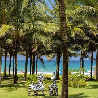 Selectum noa resort - 4