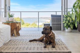 Ziggy's Beach House - Ocean views, Jacuzzi, Sauna! - 3