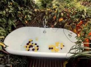 Le Ti Citron Vert - Baignoire à ciel ouvert et refuge coloré - - 8