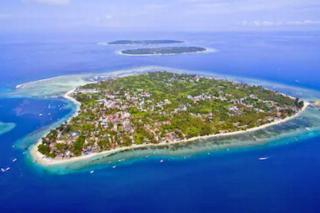 Keely 1 BR Beautiful Paradise ZN330 - 1