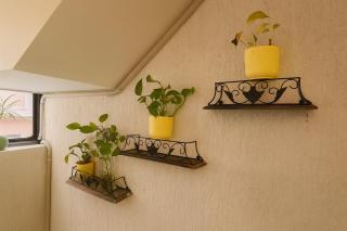 Around stays, Tapovan, Rishikesh - 3