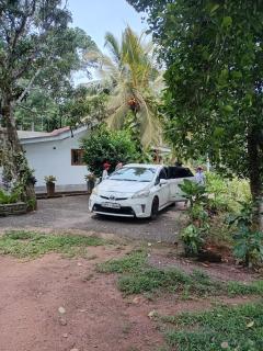 Lovers Green Villa - 3