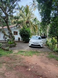 Lovers Green Villa - 4