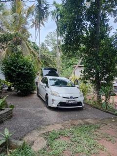 Lovers Green Villa - 7