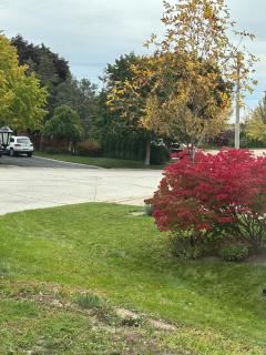 Luxury, Brand-new, Specious, 2-Bedroom Apartment - 6