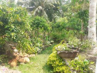 Cinnamon Vibe Family Resort - 5