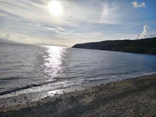 Js PALM BEACH Resort - 5