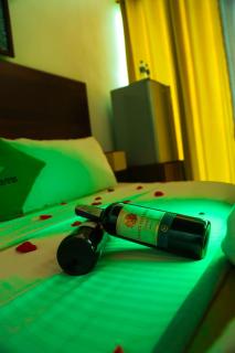 Nelinsa Resort and Ayurveda Wellness Center - 5