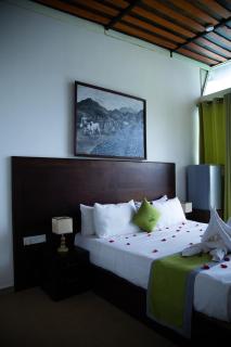 Nelinsa Resort and Ayurveda Wellness Center - 6