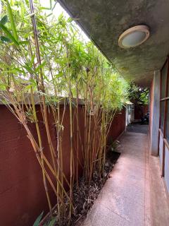 House of Mud Eco Friendly Room - 5