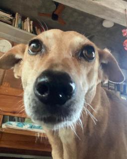 House of Mud Eco Friendly Room - 1