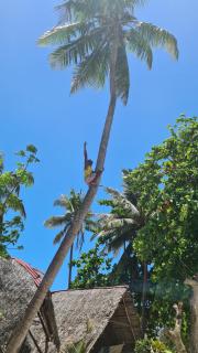 Michamvi Spirit Lodge - 5