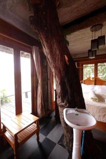 P&P Coffee & Resort Maesariang - 9