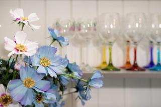 Pure Bliss - Comfort Delight - 8