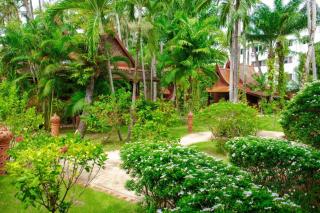 Royal Phawadee Village Patong - 2 Minutes walk to the beach - 5