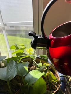 5BRwithBand&Piano setup Private Gym Theater&Entry at Cherry Hill - 7