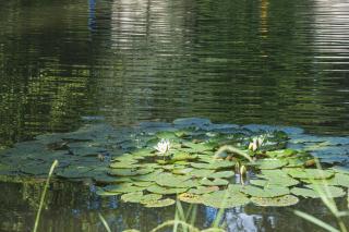 Domaine de la Résidence - Hôtel, Spa & Restaurant - 3