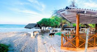 Pigeon island beach villa nilaveli - 4