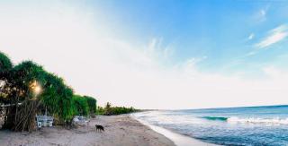 Pigeon island beach villa nilaveli - 1