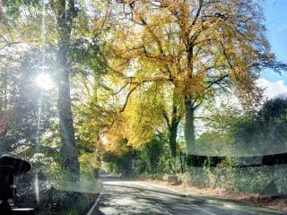 Cosy Rural Gilbert Hights Llandovery Cynghordy - 5