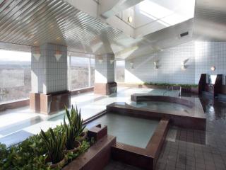 Villa Kitakaruizawa L-Wing - 9