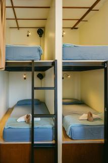 Blue monkey - Bouldering Guesthouse - 6