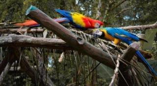 OYO Home 90416 Exclusuites - 9