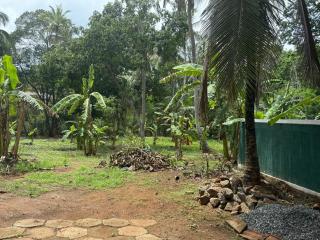 A tropical delight! - 4