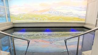 Therme 51° Hotel Physio & Spa - 5