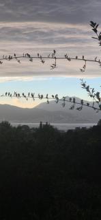 Appartement cosy vue mer - 1